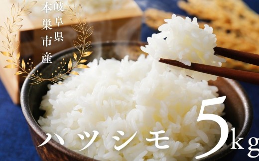 【精米】令和7年産 はつしも 5kg 米 ハツシモ こめ ごはん 白米 岐阜県 本巣市 お米 精米 甘い 和食 寿司 お茶漬け 本巣市 15000円 くどみフルーツ農園