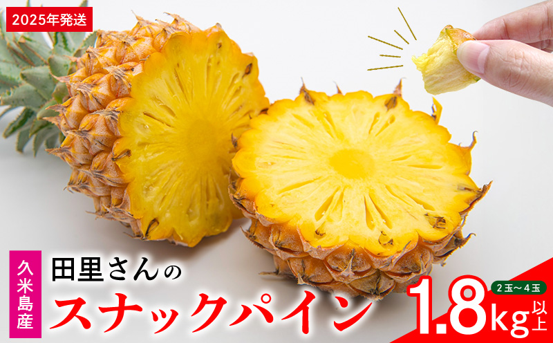 【2025年発送】田里さんの久米島産スナックパイン 1.8kg以上 パイナップル 果物 フルーツ 果実 果汁 ジューシー ボゴール 手でちぎる 手軽 甘い 酸味 果肉 太陽 トロピカル ジュース デザート ジャム スムージー 沖縄 南国