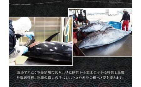 本マグロ（養殖）トロ＆赤身セット 3kg 【7月発送】 高級 クロマグロ  中トロ 中とろ  まぐろ マグロ 鮪 刺身 赤身 柵 じゃばらまぐろ 本マグロ 本鮪 【nks112B-8】