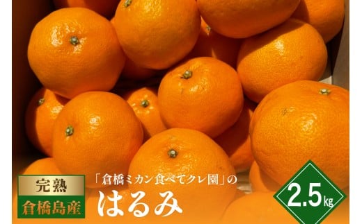 【2026年1月下旬～発送】倉橋ミカン食べてクレ園 はるみ 約2.5kg ku154-006-25
