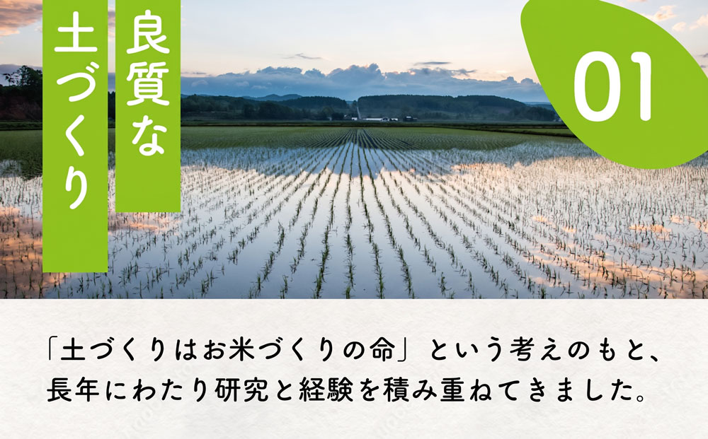 【コシヒカリ 5kg】 米 お米 こめ コメ こしひかり 【令和7年度産】 【千葉県産】 kome okome 精米 白米 ご飯 ごはん 米 ごはん 備蓄米 国産 炊飯 ※ ブランド米 甘い ツヤ ギ