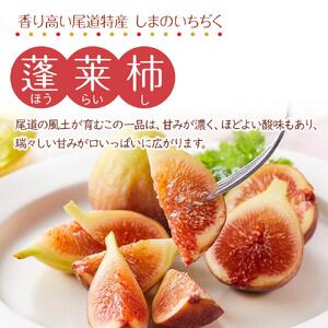 【尾道特産・秋の味覚！しまのいちぢく】瀬戸内・因島の蓬莱柿（ほうらいし）約320g×4パック【9月より配送】