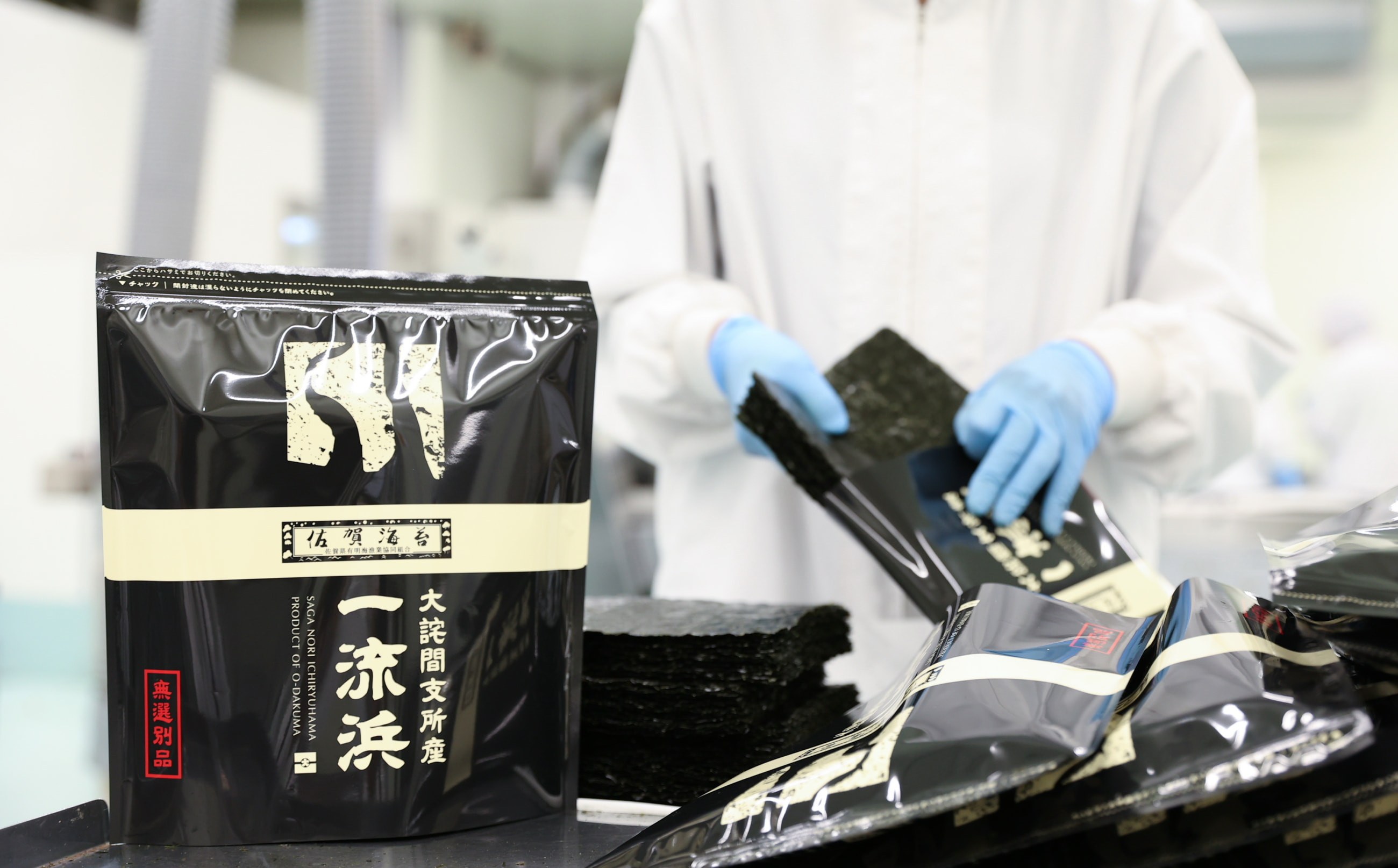 
            【定期便】【ワケあり】6ヶ月定期便 佐賀海苔 一流浜 一番摘み「無選別品」全形30枚(計180枚)
          