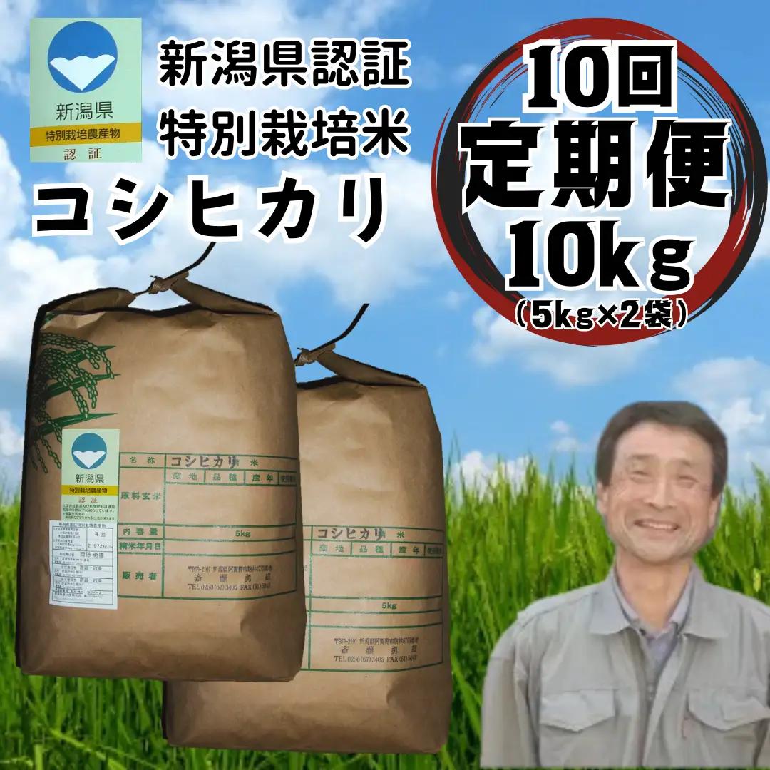 【令和7年産】【10か月定期便】特別栽培米 コシヒカリ 10kg×10回 新潟県認証 新潟県 米 こめ コメ 白米 精米 さいとう農園 1G03401