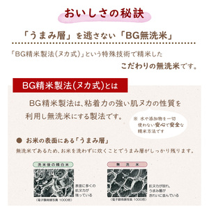 令和7年産 《特別栽培米》 BG無洗米 つや姫 10kg（5kg×2袋） 2025年産 山形県産　036-C-TH001