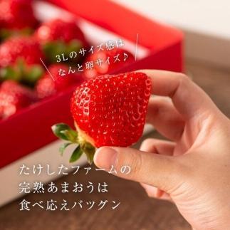 【2025年1月～4月納品分予約販売】武下さんちの完熟あまおう3Lサイズ450g。白いVIPボックスに入れて！