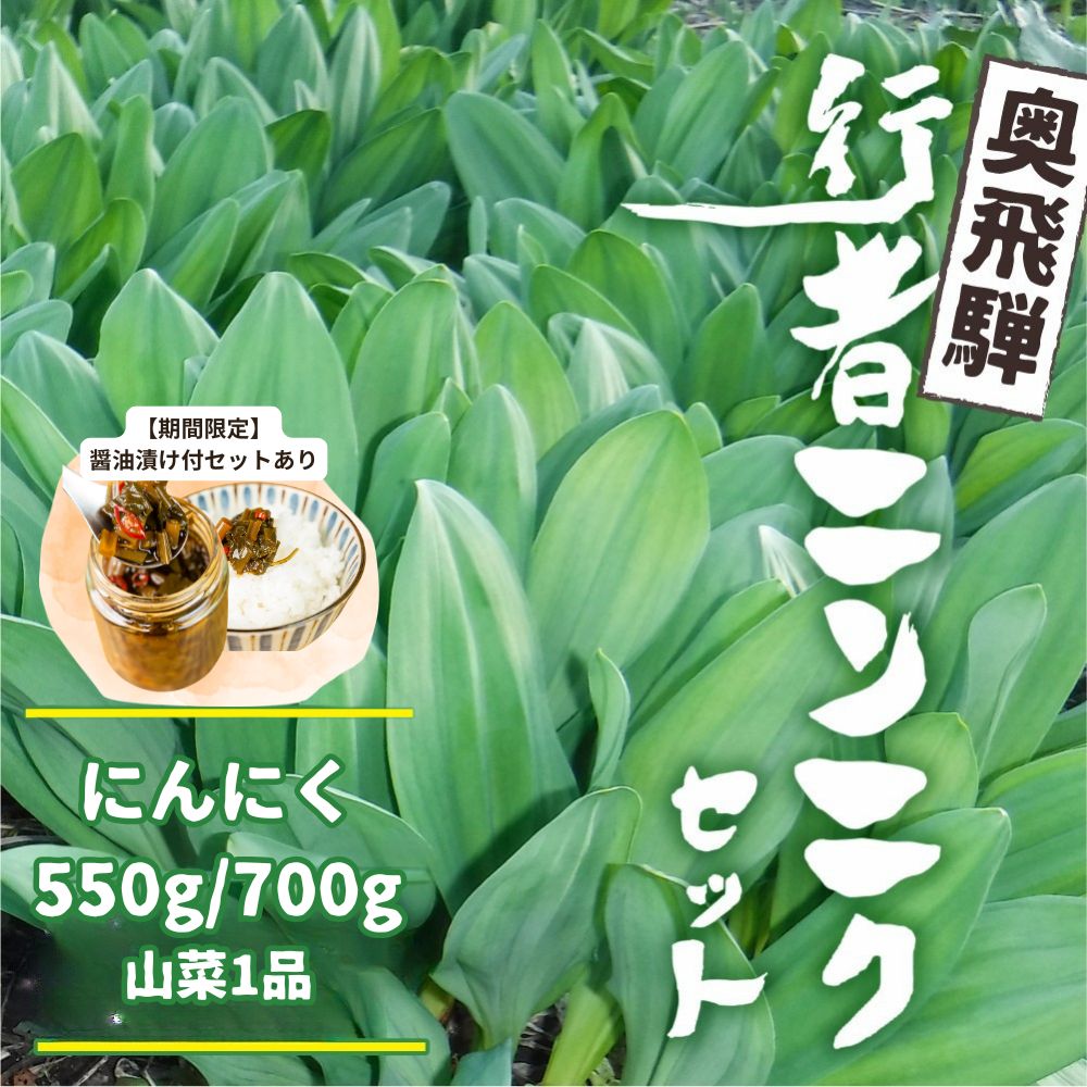【ふるさと納税】《先行予約》選べる内容量 奥飛騨産とれたて新鮮 生行者ニンニク 550g / 700g , 山菜1品 行者ニンニク 行者にんにく 醤油漬け 【4月下旬〜5月上旬発送】[Q654xch Q655xch] 10000円 1万円 12000円