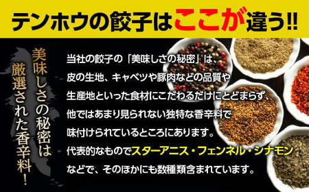テンホウのぎょうざ（袋入り/冷凍生）4袋[224粒]（シナモン・八角入り）／ テンホウ ぎょうざ ギョウザ 餃子 冷凍 ぎょうざ ぎょうざ ぎょうざ ぎょうざ 信州 長野県 諏訪市 諏訪 【21-05