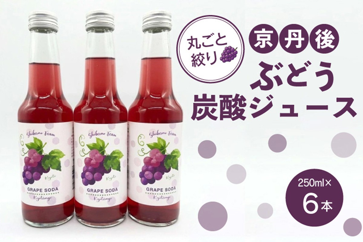 京丹後のぶどう炭酸ジュース（ソーダ） 小瓶6本入り（2026年11月中旬～発送）　SF00051
