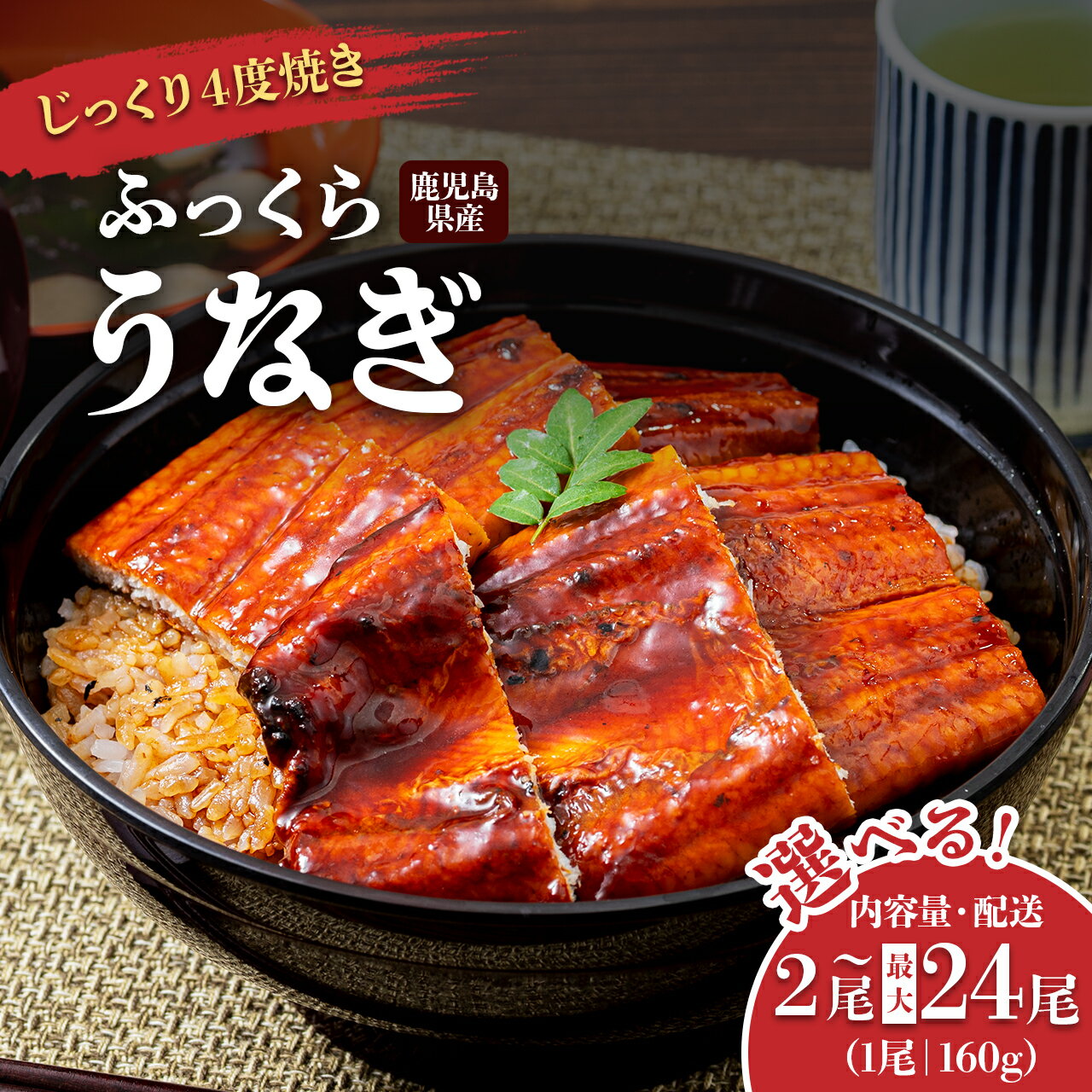 地下水で育てた絶品うなぎ うなぎ 長蒲焼 2尾 300g | ふるさと納税 うなぎ 高級 ウナギ 鰻 国産 蒲焼 蒲焼き たれ 鹿児島 大隅 大崎町 ふるさと 人気 送料無料