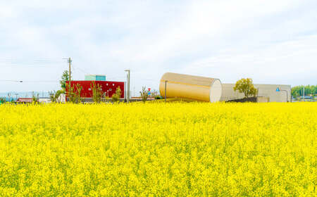 【返礼品なし】岡山県奈義町をロケ地とした映画『ナギノート』を通じた町の情報発信、交流人口推進事業を応援してくださる皆さまからの温かいご支援をよろしくお願いいたします。 寄附のみ 岡山県 奈義町 寄附 