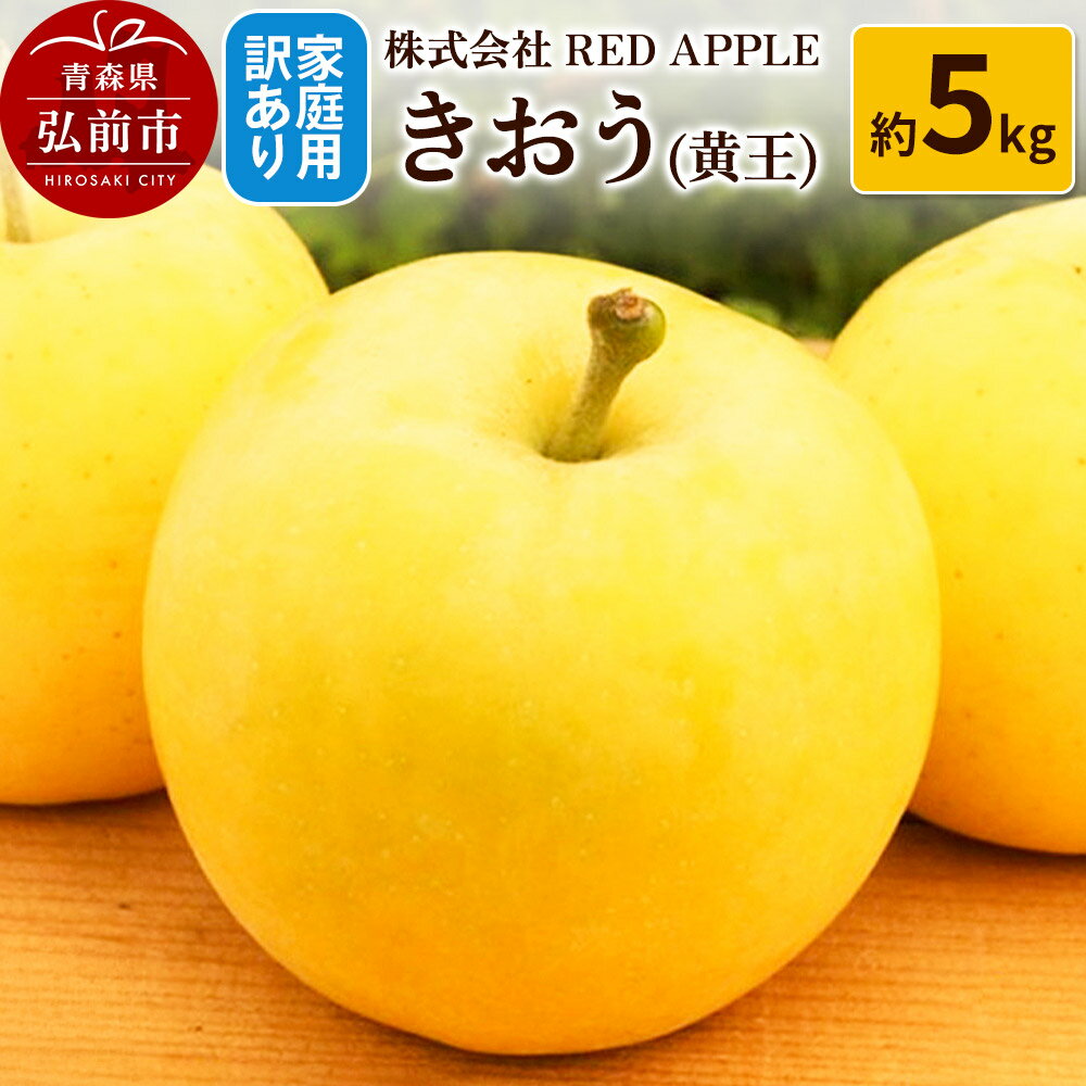 【ふるさと納税】りんご【訳あり】家庭用 きおう（黄王） 約5kg