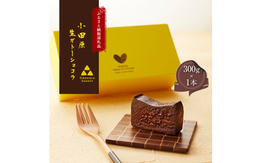 極上の口溶け。幸せの生ガトーショコラ 300g【 高級 濃厚  極上スイーツ グルテンフリー チョコ ショコラテリーヌ 高品質クーベルチュールチョコレート使用 一流シェフ 神奈川県 小田原市 】 142069_DW002
