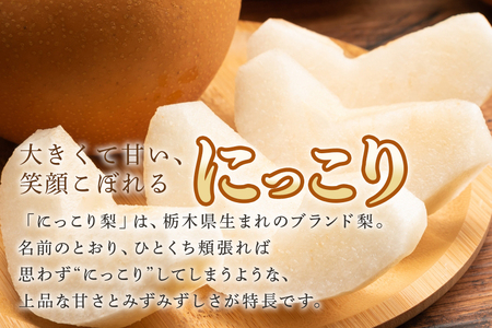 【数量限定・先行予約】 梨 にっこり 5kg 3L～6L 7～14玉 なし ナシ 果物 フルーツ 国産 【10月1日～11月末発送予定】 70-O