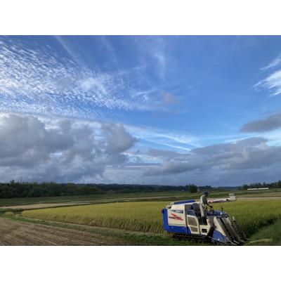 ふるさと納税 十日町市 【令和7年産】　魚沼産　新之助　2kg |  | 03