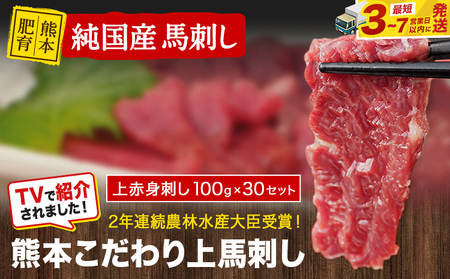 馬刺し 上赤身 ブロック 国産 熊本肥育 冷凍 生食用 たれ付き(10ml×30袋) 100g×30セット《3-7日以内に出荷予定(土日祝除く)》肉  馬肉 予約 平成27年28年 農林水産大臣賞受賞 