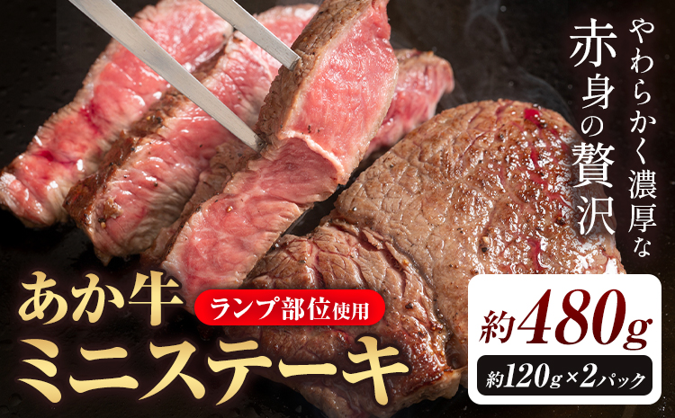 あか牛ミニステーキ ランプ部位使用 約480g 合同会社たべたせいか《30日以内に出荷予定(土日祝除く)》熊本県 菊池市 肉 牛肉 お肉 和牛 あか牛 ステーキ ミニステーキ 個包装 小分け 熊本県産 冷凍 送料無料