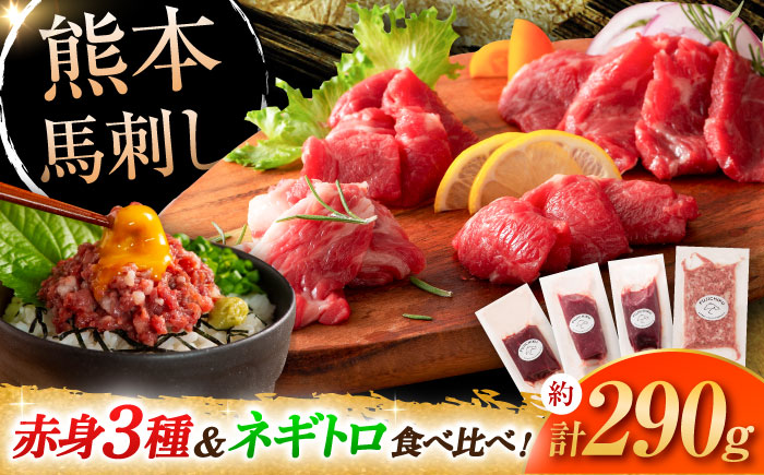 【熊本特産】赤身馬刺し3種とネギトロの詰め合わせ 3891【株式会社フジチク】 [BHAD020]