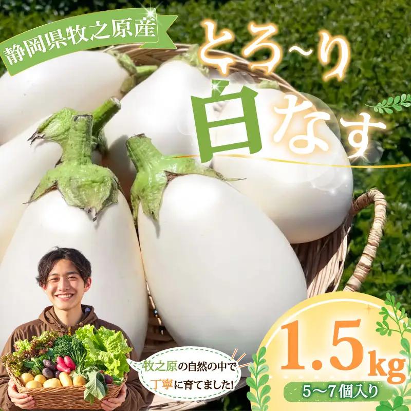 【白茄子 1.5kg 】 白ナス 1.5kg 約7本 静岡 県 牧之原市 t.p.C farm 堀内農園