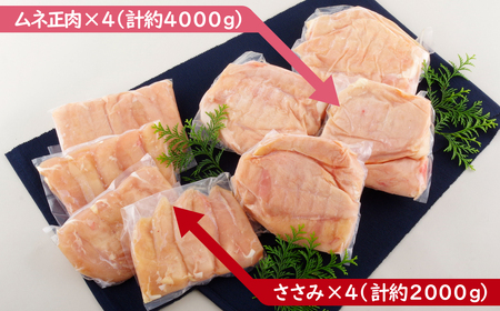 【レビュー★4.9】ながさき福とり 鶏肉むね・ささみセット 総計6,000g 臭みなしブランド鶏【長崎福鳥】鶏肉 鶏肉ささみ 鶏肉ササミ 鶏肉むね 鶏肉ムネ 鶏肉小分け 鶏肉小分け冷凍 鶏肉食べ比べ 