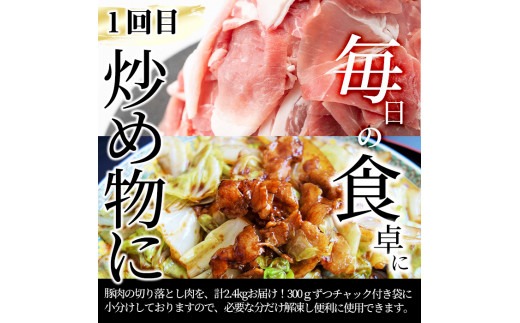 【定期便全3回】九州産 豚肉定期便(3ヵ月連続・毎回2kg以上・計7.7kg以上)  t0040-013