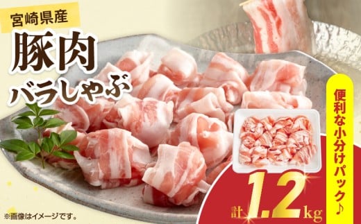 宮崎県産 豚肉 バラしゃぶ 計1.2kg 国産 食品 豚バラ スライス しゃぶしゃぶ 冷しゃぶ 鍋 炒め物 豚丼 焼肉 BBQ 個包装 小分け パック おすすめ おかず お弁当 晩ご飯 手軽 便利 万能食材 ギフト 贈り物 冷凍 日南市 送料無料_BC125-25