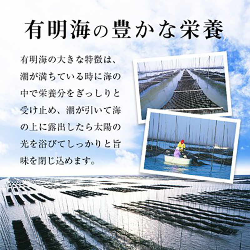 有明海産 味のり 味海苔 大丸ボトル 6本 合計480枚 8切80枚 6本セット 送料無料 《30日以内に順次出荷(土日祝除く)》福岡県 鞍手郡 鞍手町 たっぷり 大容量 親和園
