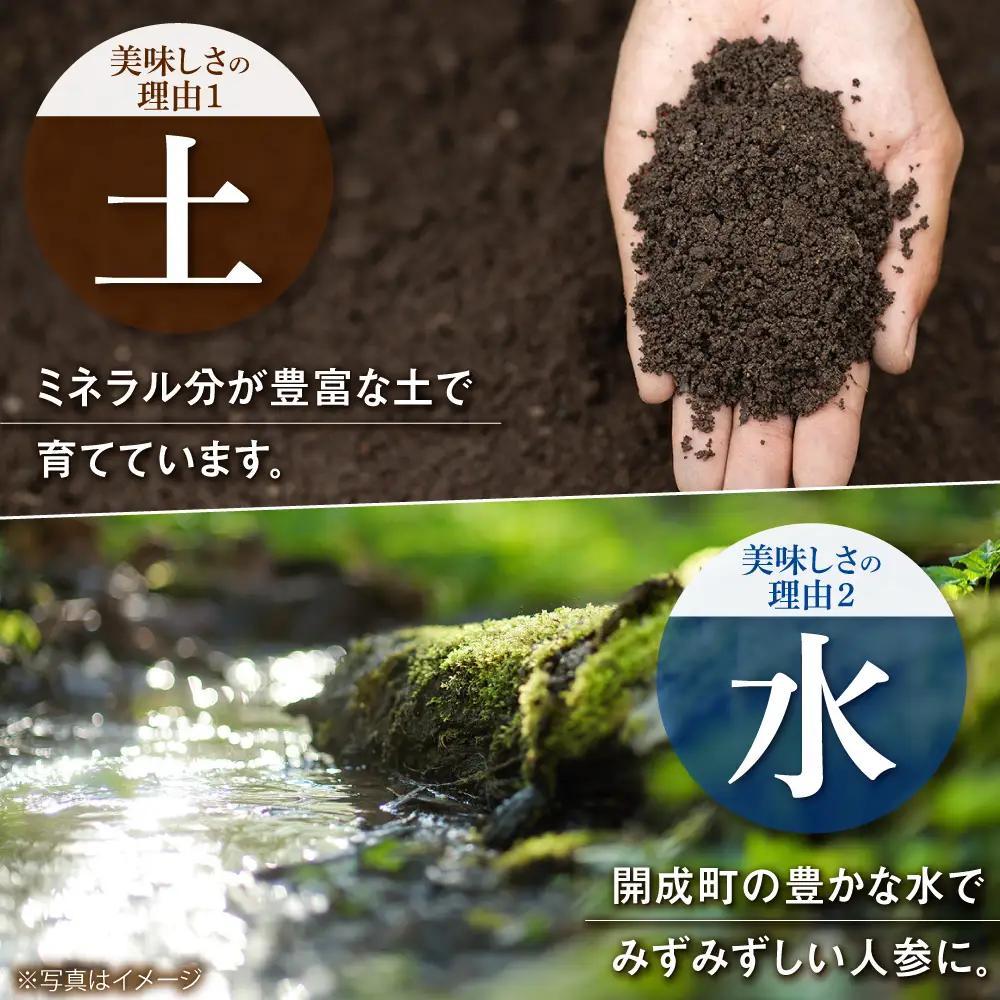 にんじんドレッシング 4本 【文命農業】ドレッシング  [BDAX003-1]