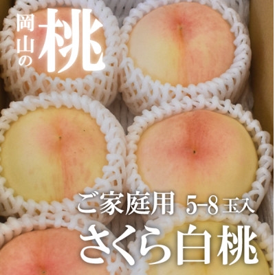 
            ＜きよとうファーム＞しっかりめの肉質と甘さが絶品「さくら白桃」ご家庭用 5-8玉入(岡山県産)_桃 白桃 もも モモ 甘い 果物 くだもの フルーツ 岡山県 津山市 家庭用 自宅用 産直 産地直送 送料無料【1571615】
          