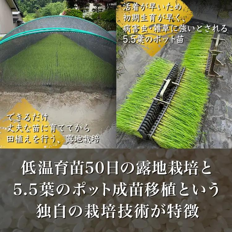 【早期予約】【6ヶ月定期便】【令和8年度産米】尾谷農園 自然栽培米コシヒカリ 玄米10kg ※2026年10月～発送