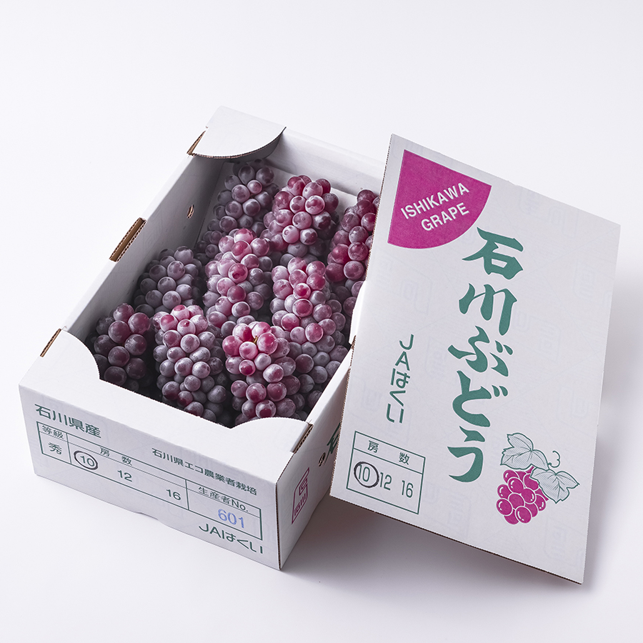 特選「デラウエア」2kg