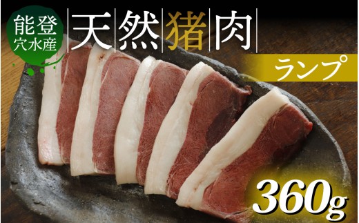奥能登 穴水産 天然猪肉 ランプ 120g×3枚 計360g