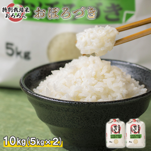 【2025年産】 北海道羽幌産 特別栽培米 おぼろづき10kg （5kg×2セット）【0812102】