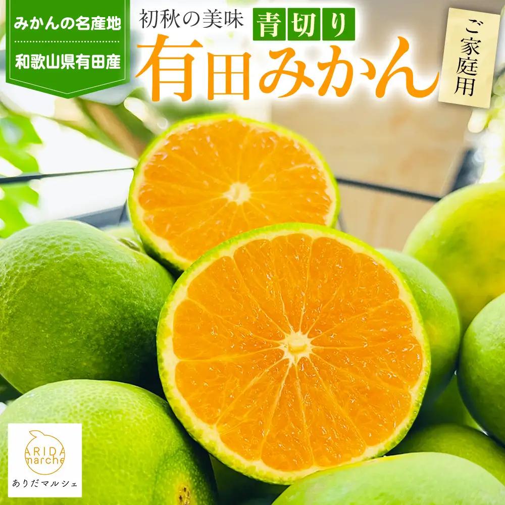 ［先行予約］有田育ちのご家庭用青切り 有田みかん 5kg ［2026年9月中旬より発送］［訳あり］［サイズ混合］［MS18］
