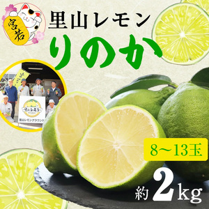 M568【里山レモンの会】宮若市特産品 レモン 約2kg【りのか】