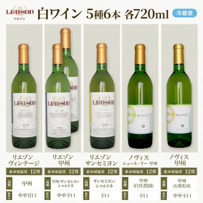 ふるさと納税 笛吹市 白ワイン5種6本セット 720ml  リエゾン ノヴィス 日川中央葡萄酒 山梨県 笛吹市 |  | 03