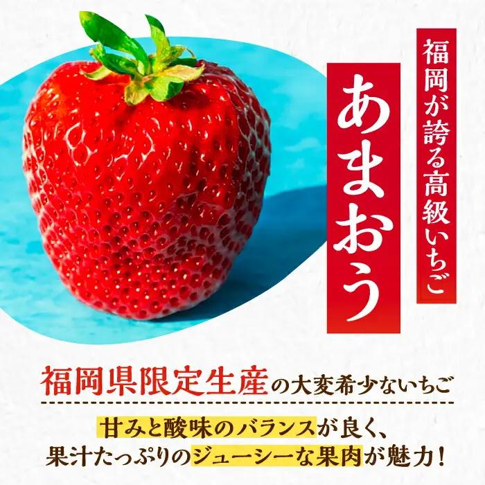 【先行予約】【全3回定期便】あまおう いちご 270g以上×4P VAB021 あまおう