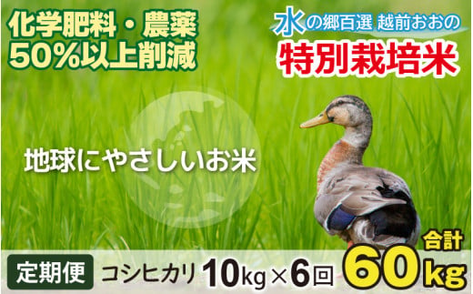 【令和7年産】【6ヶ月定期便】こしひかり 10kg × 6回 計 60kg【白米】減農薬・減化学肥料 「特別栽培米」－地球にやさしいお米－