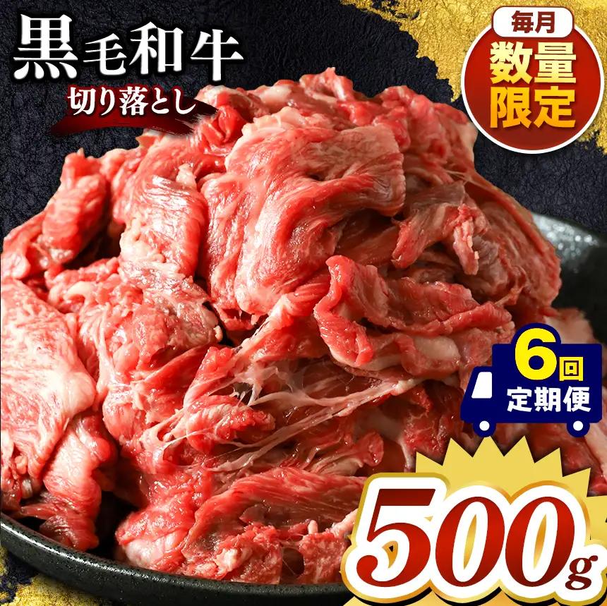 【定期便6回】栃木県産 黒毛和牛切り落とし 500g 