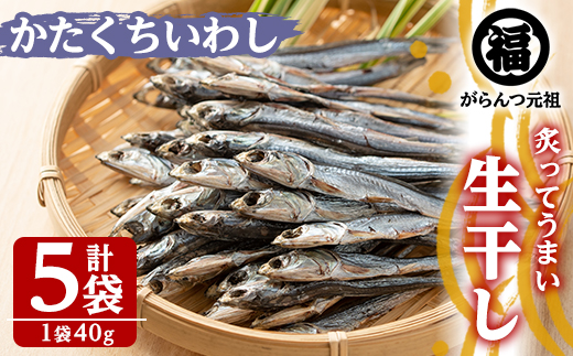 鹿児島県阿久根市産生干し「かたくちいわし」(計5袋・1袋40g)国産 魚介 干物 イワシ 鰯 がらんつ干物【マルフク川畑水産】a-12-154