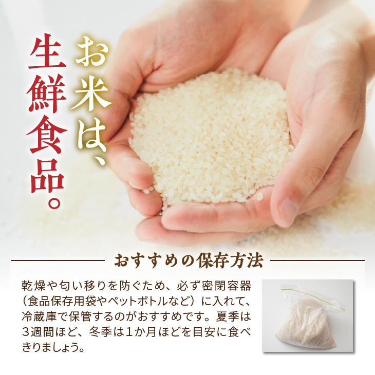 【令和7年産】【白米14kg】新登場の高級米 岩手県奥州市産 金色の風 白米14kg（10kg＋4kg）[AC032]