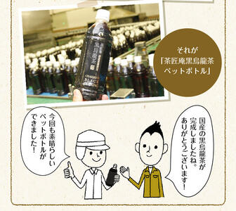 黒烏龍茶 静岡県産 黒烏龍茶 500ml × 24本 ウーロン茶 いなば園