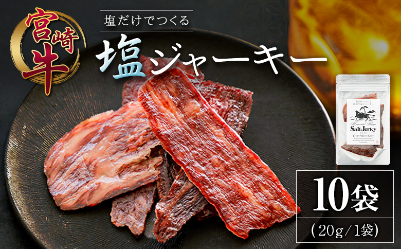 塩だけでつくる 宮崎牛 塩ジャーキー 10袋（20g×10袋）ブランド牛 ビーフジャーキー おつまみ 珍味 グルメ 干し肉 宮崎県産