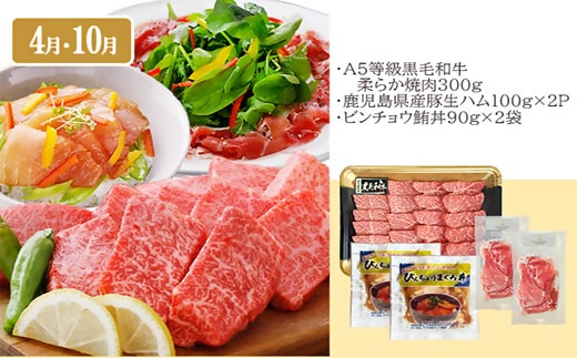 定期便(6回)お楽しみ便(A5等級黒毛和牛・黒豚・海鮮・さつま揚げ等)GG−0052【1166771】