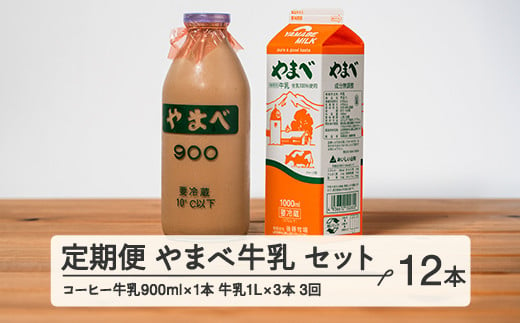 
【定期便】山形県産 やまべ牛乳セット (牛乳 1L×3・コーヒー牛乳 900ml×1) ×3回 F21A-323
