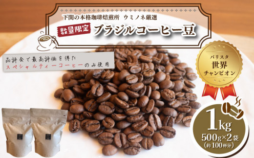 【豆】 訳あり コーヒー豆 1kg ( 500g × 2袋 )  ブラジル レッド カトゥアイ 数量限定 ( コーヒー 珈琲 出荷当日 自家焙煎 スペシャルティコーヒー ホットコーヒー アイスコーヒー コーヒータイム こだわりコーヒー 飲料 日指定可  ) ウミノネコーヒー 下関 山口