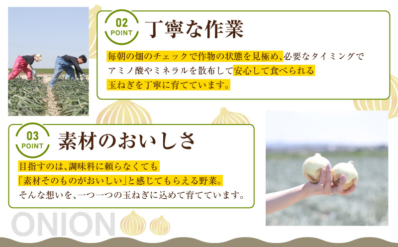 口に広がる優しい甘さの玉ねぎ ～真玉～　10kg（箱の重さ込み）・S098