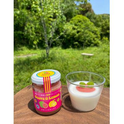 ふるさと納税 南国市 有機グアバ農園の完熟フルーツソース　　　　　Guava&amp;Lemon(グアバ&amp;レモン)