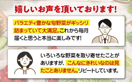 【有機JAS認定オーガニック】シェフの目線「大洲の旬野菜詰合せ」年間パスポート