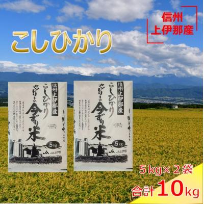 ふるさと納税 伊那市 令和7年　信州　長野県　上伊那産　新米　コシヒカリ　今ずり米　10kg　(5kg×2袋)